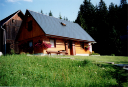 Ferienhaus Forstauer`s Teichalm